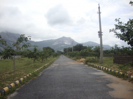 DSC04235.JPG
