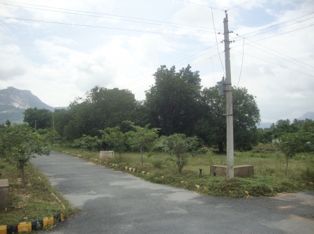 DSC04243.JPG