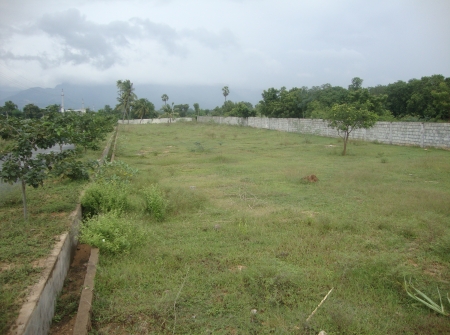 DSC04245.JPG