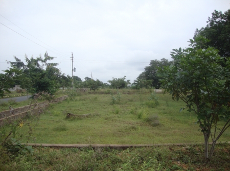 DSC04251.JPG