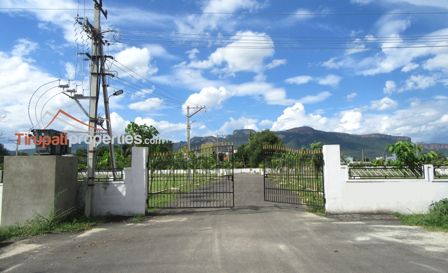 East and West Facing Tuda Approved Plots for Sale Near Kaluru Cross ...