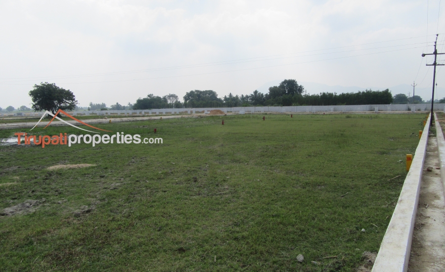 TUDA Approved Residential Layout Venture in Thanapalli, Tirupati